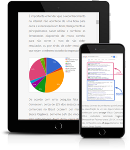 blog-seo-joinville